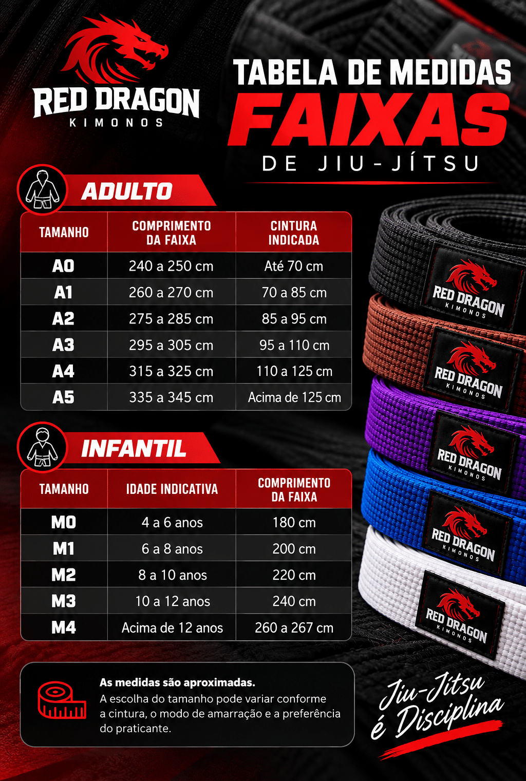 Faixa Jiu-Jitsu Adulto Red Dragon - Imagem 3